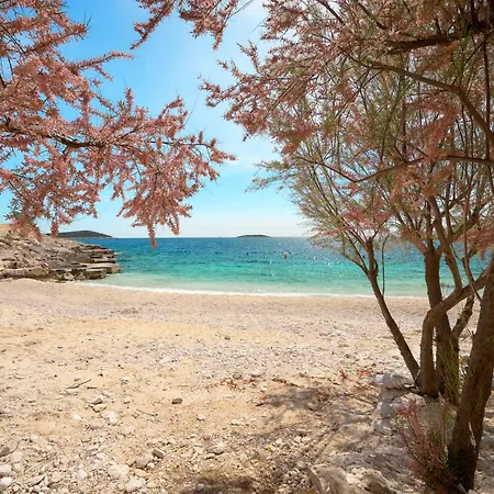 Willa Beachfront Sevid With Heated Pool And Jacuzzi Zaglavice